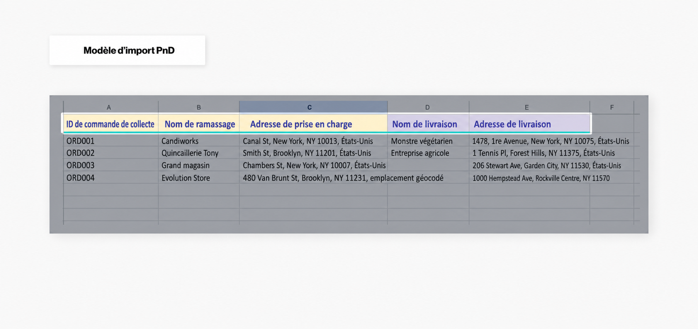 pnd-import-template.png