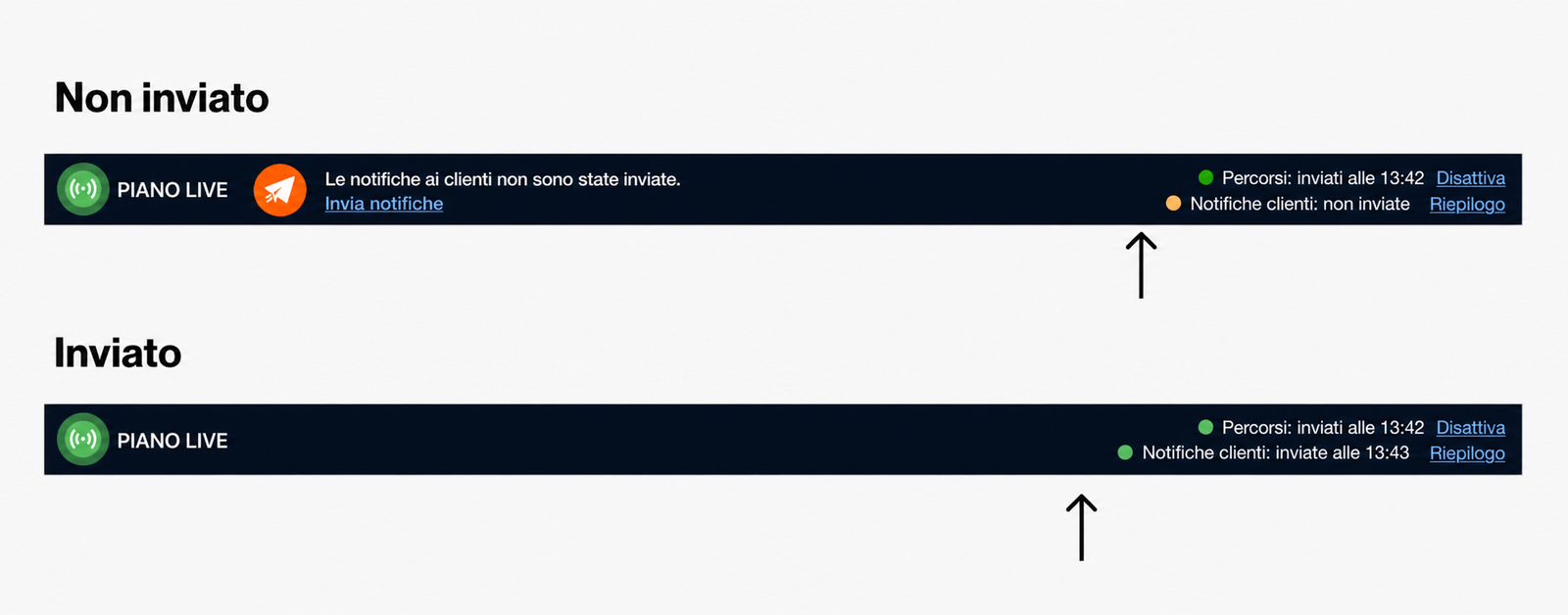 ROT-New-HT-10 (1).png