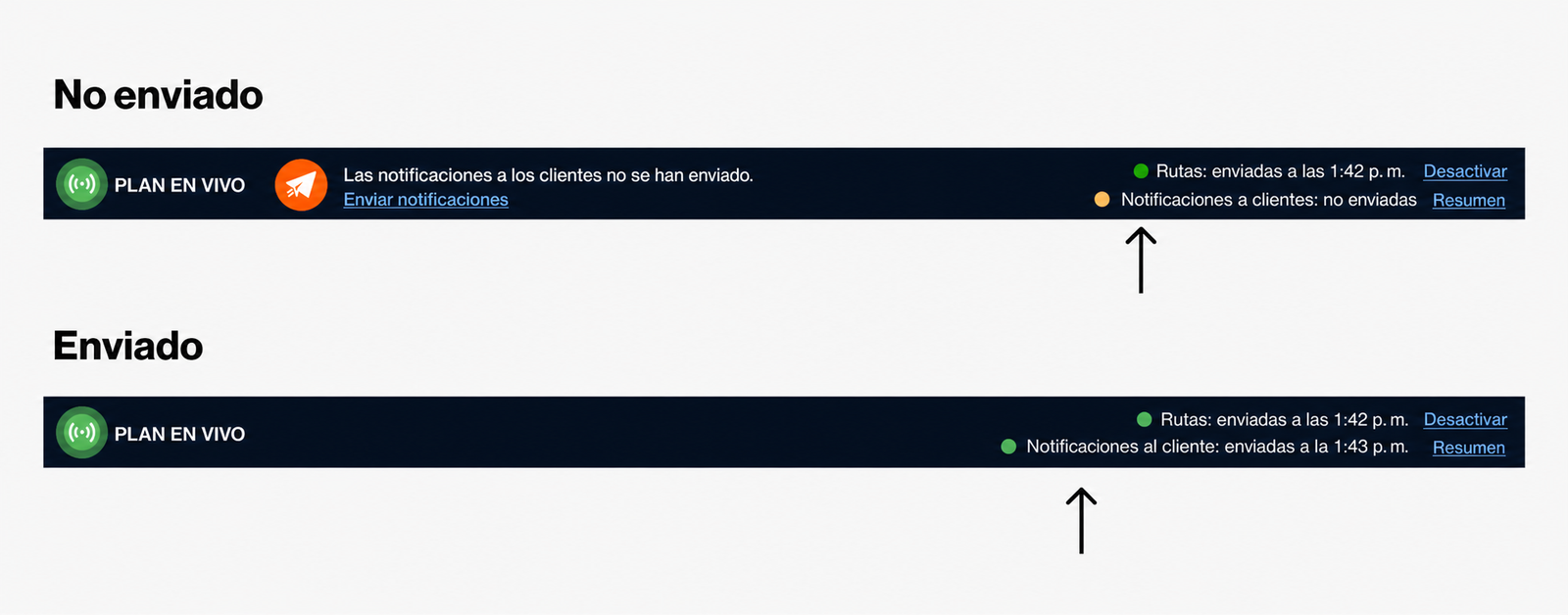 ROT-New-HT-10 (1).png
